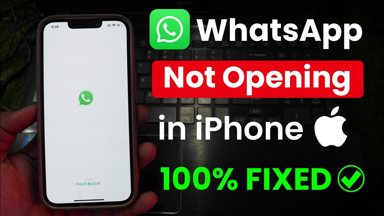 iPhone WhatsApp Not Opening? Fix It Easily 📱