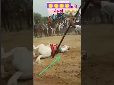 Khatarnaak accident horse race 😮😮 #automobile #horseenthusiast #horsefan #horseriding