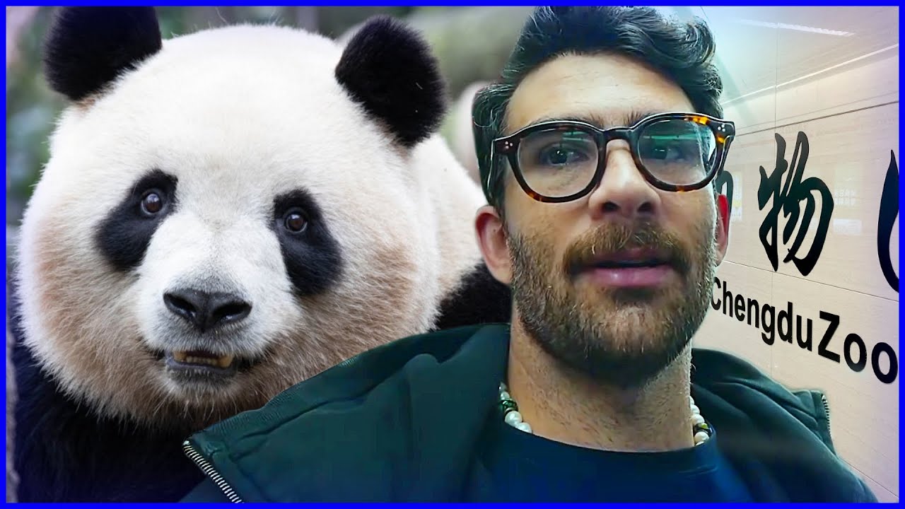 Hasanabi Visits Pandas at Chengdu Zoo 🐼