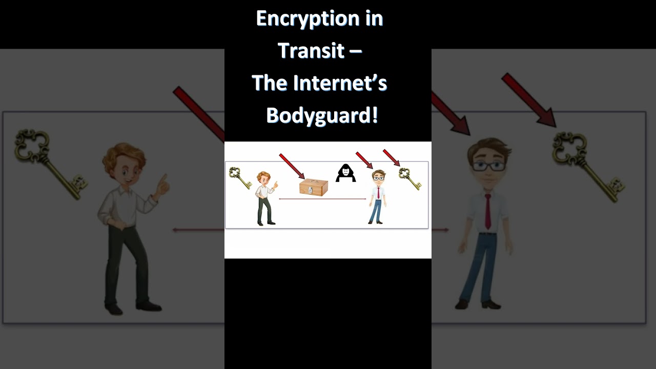 Encryption in Transit: The Internet’s Bodyguard 🔒