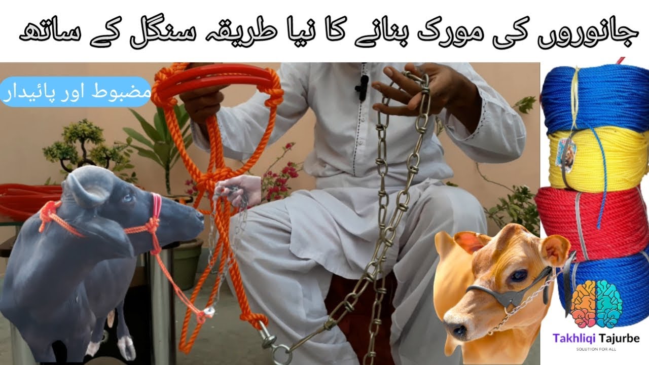 Easy Guide to Making a Morak (Peacock) from Animal Ropes 🦚