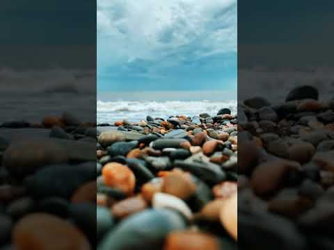 4391 Understanding the Number 4391 51424