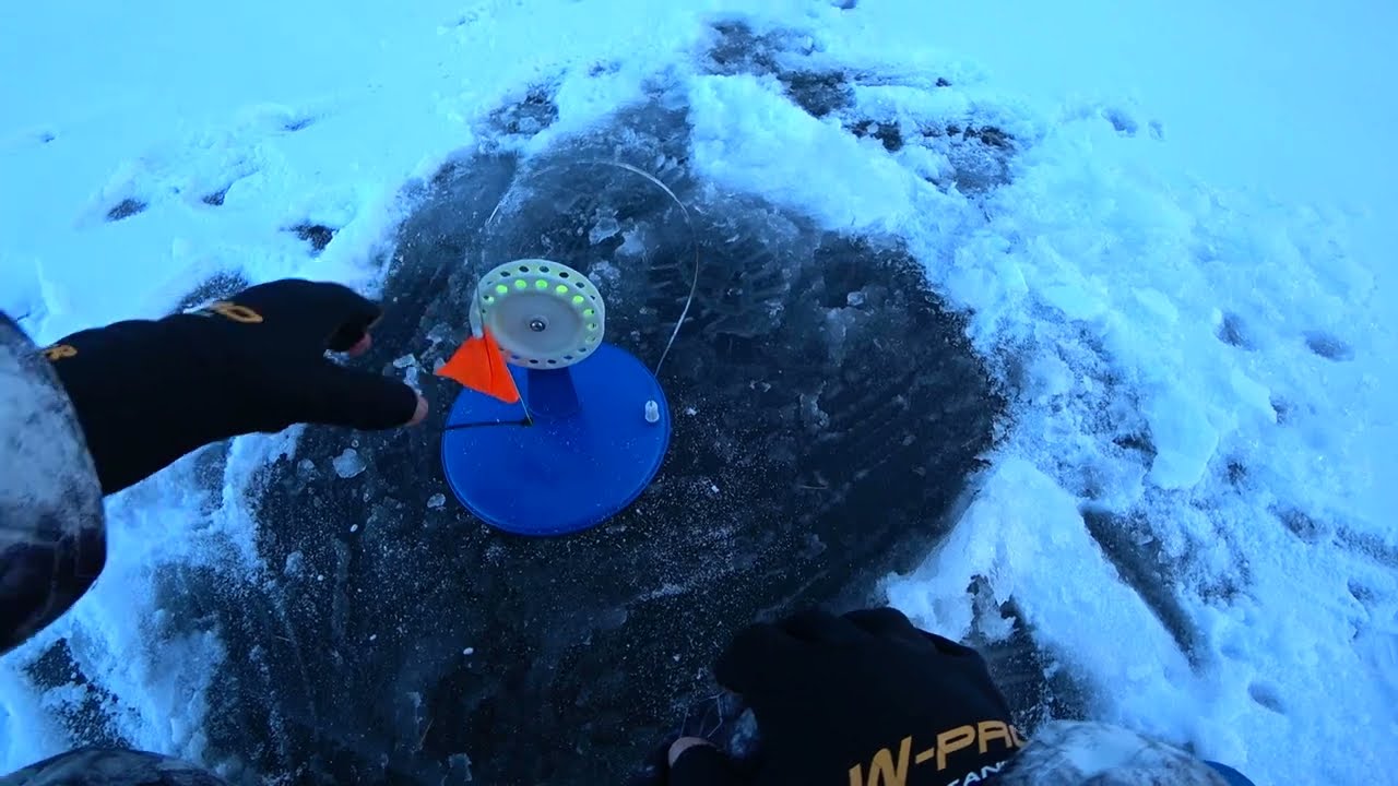 Осенний улов: Окунь и Щука на жерлицы и мормышку в октябре 2025 🐟