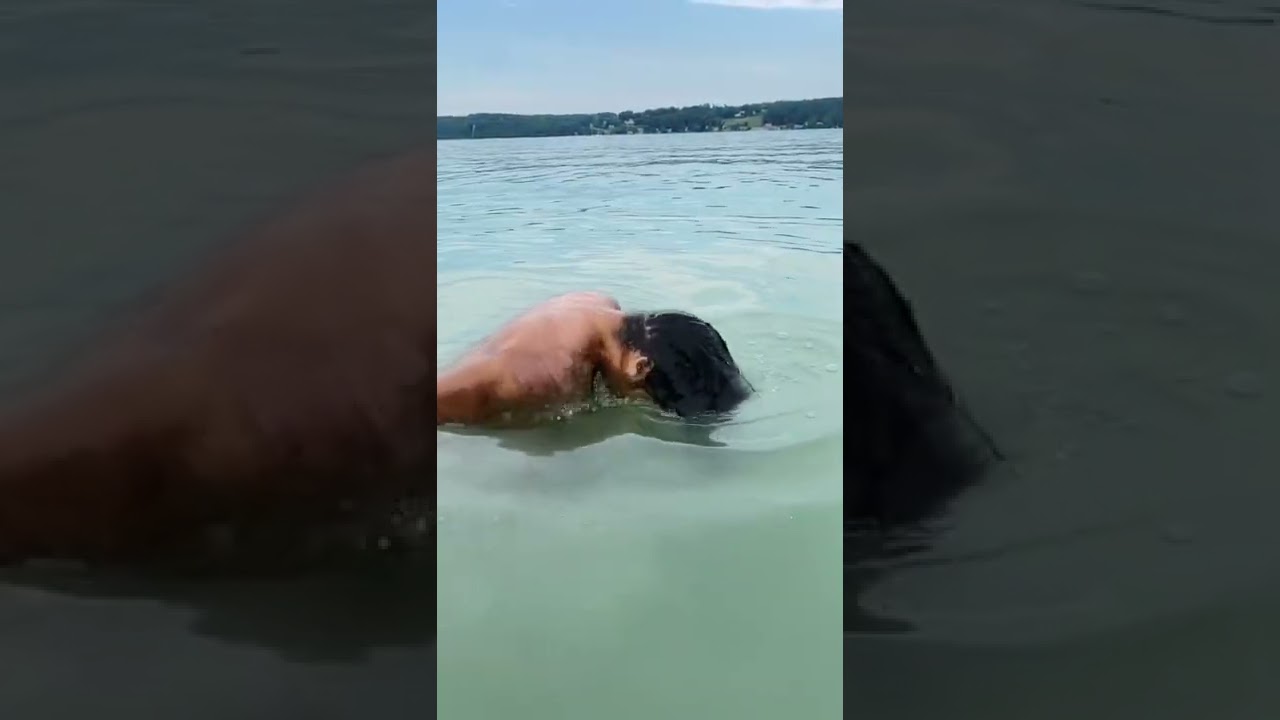 Me After Getting My Hair Wet ๐