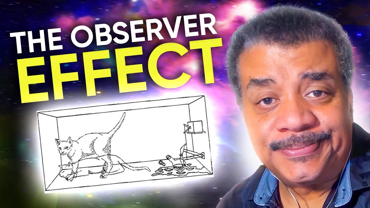Schrödinger's Cat Explained by Neil deGrasse Tyson 🐱