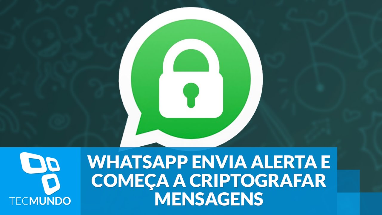 WhatsApp inicia criptografia de mensagens 🔒
