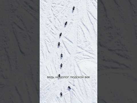 Разбег - Александр Закшевский #александрзакшевский #музыкадлядуши #шансон #песниожизни