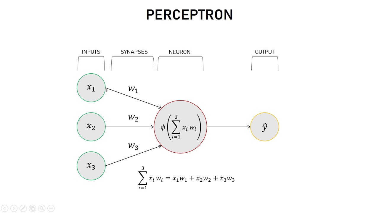 Build a Simple Neural Network in Python 🧠