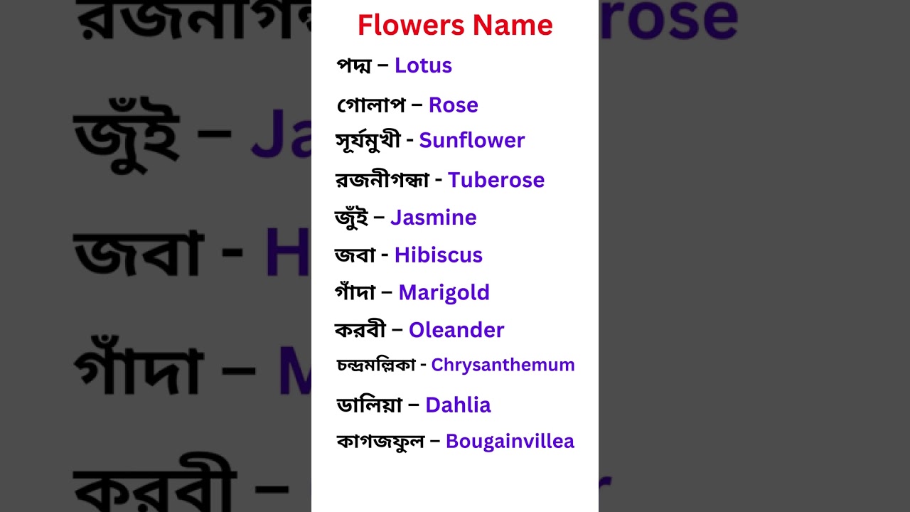 Flowers in Bengali & English 🌸