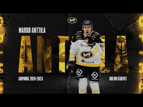 One more year, Marko "Stretsi" Anttila! 💛🖤