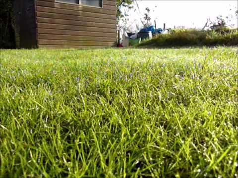 10 Hours of Watching Grass Grow