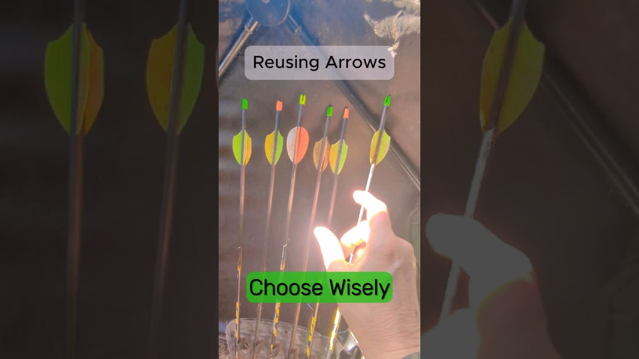 Watch Out for Feral Hogs! 🐗 Bowhunting Tips