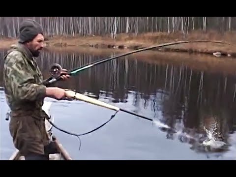 АТАКА ЩУКИ МОНСТРА НА ЩУКУ на рыбалке 2025 ВЫСТРЕЛ В ЩУКУ МОНСТРА ЩУКА АТАКУЕТ Как поймать ЩУКУ 2025