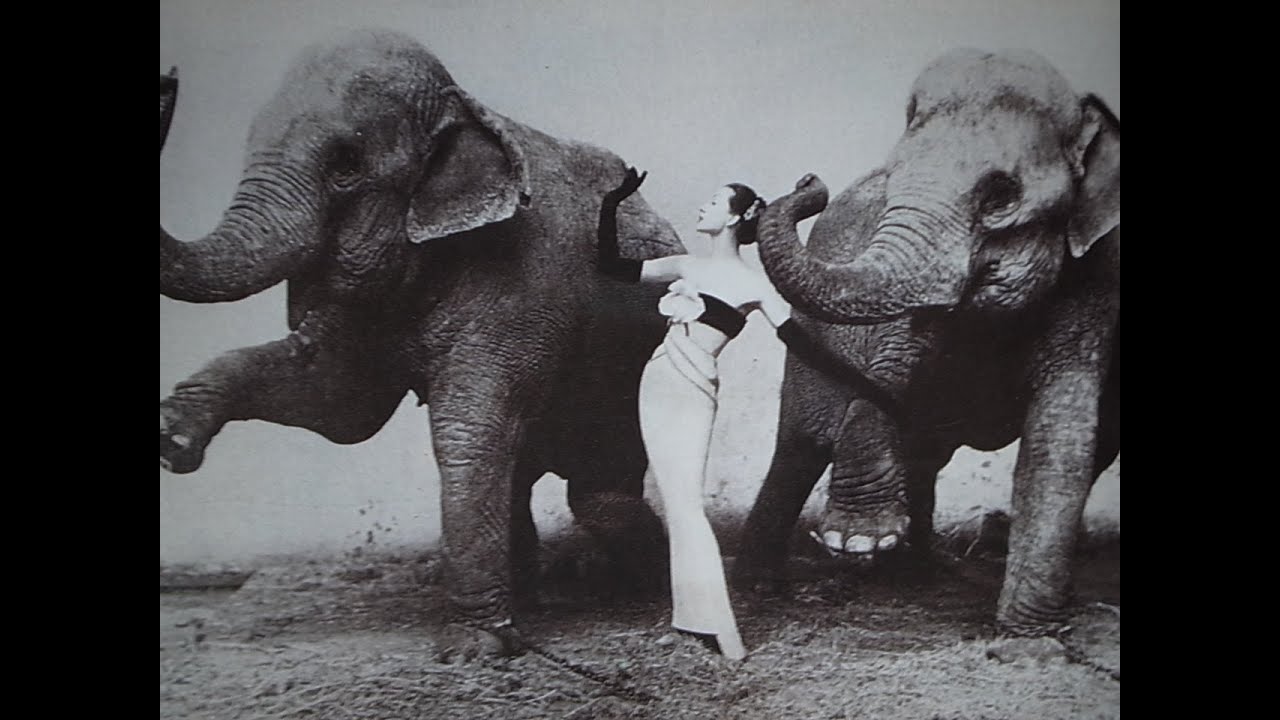 Richard Avedon 7 Images That Changed Fashion Photography