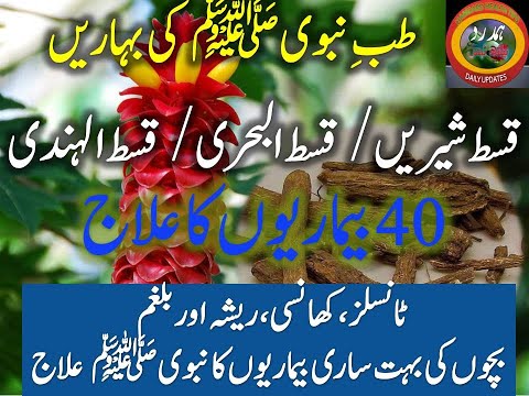 قسط شیریں|قسط البحری|قسط الہندی کے فائدے ||Benefits of ||Costus ||Roots