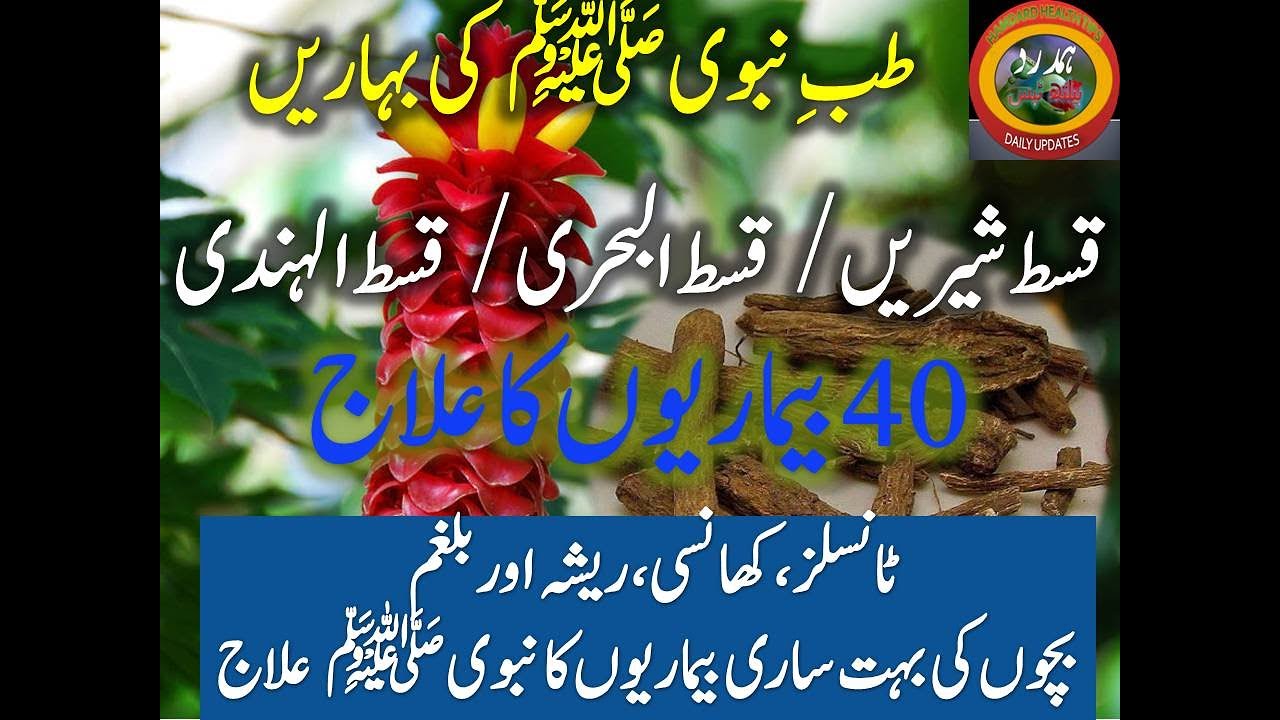 Discover the Amazing Benefits of Costus Roots (قسط شیریں و البحری و الہندی) 🌿