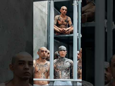 CECOT Gang Tattoos Decoded: Hidden Meanings Behind MS-13 & Barrio 18 Ink #cecot #elsalvador