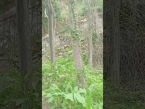 las pozas de arnedillo