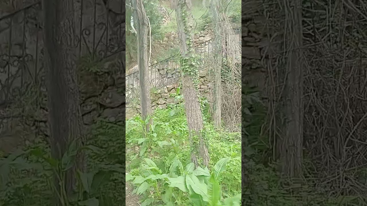 Pozas de Arnedillo: Baños Naturales en La Rioja