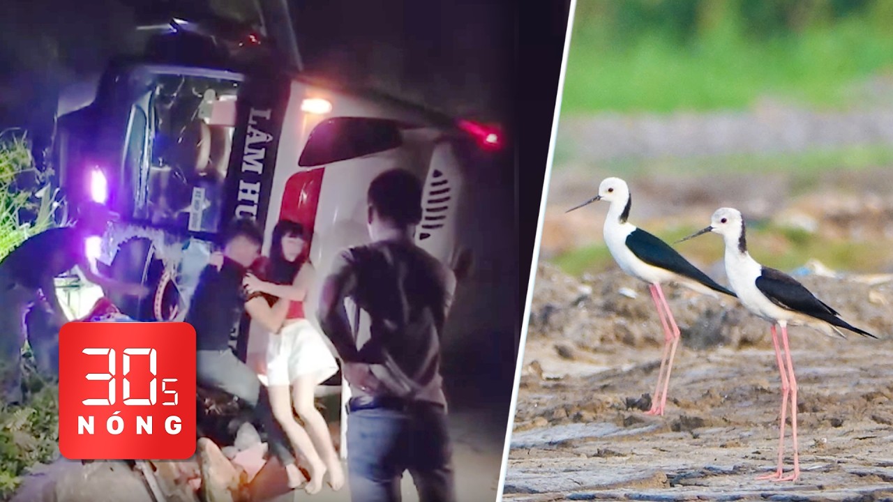 Tin Nóng 30s: Lật xe khách, nhiều người thoát nạn 🚗