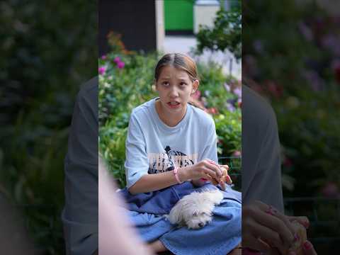 Про собаку: 4 серия #vikazang #сериал #викачжан