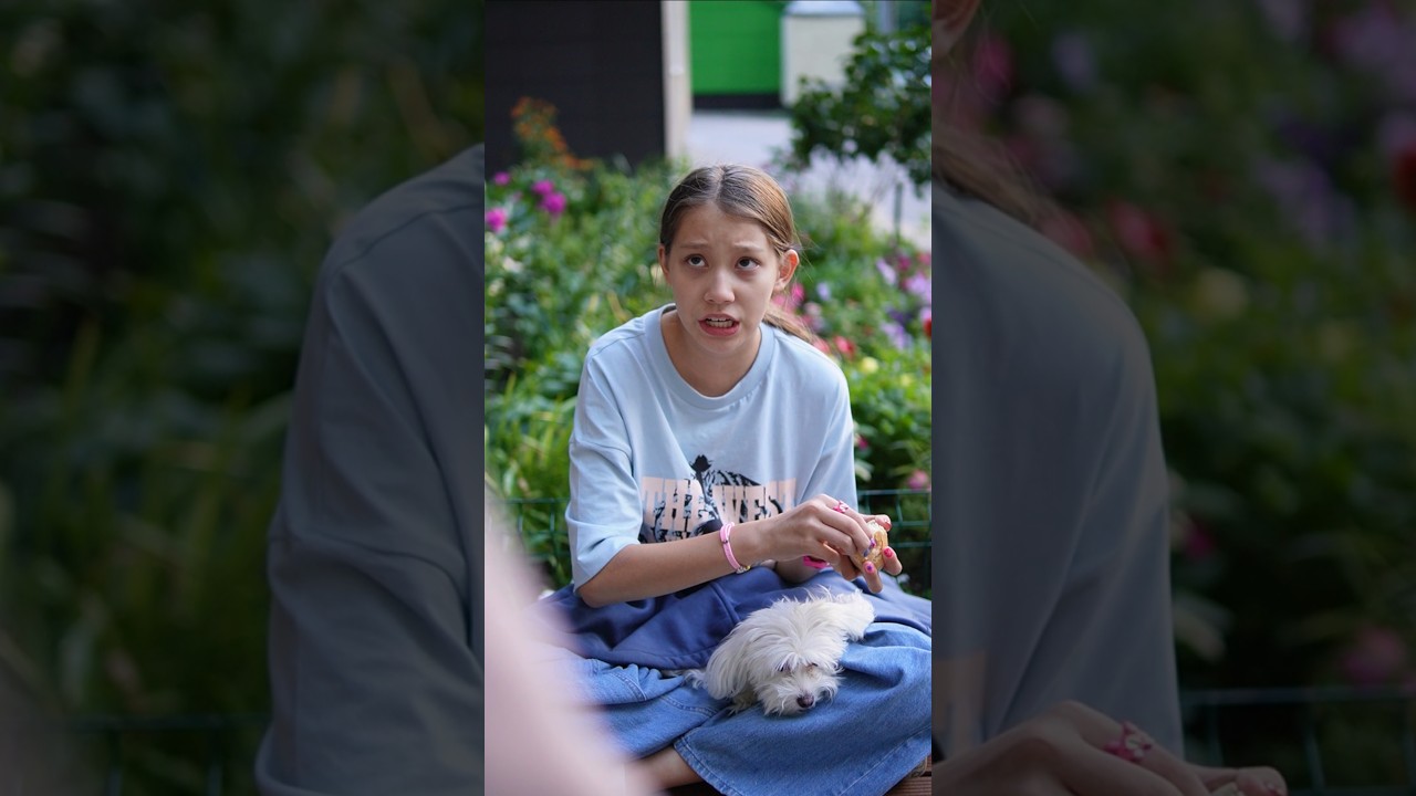 Про собаку: 4 серия — продолжение захватывающей истории 🐶