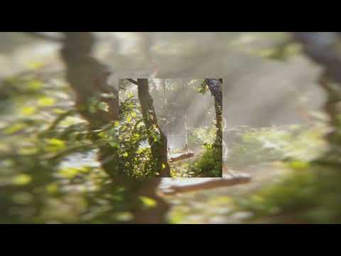 Летний плейлист без слов / спокойная музыка / 20 минут