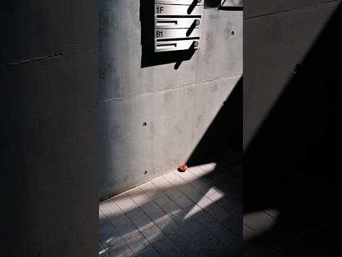 #streetphotography #filmphotography #artistic #artisticvideo #leica