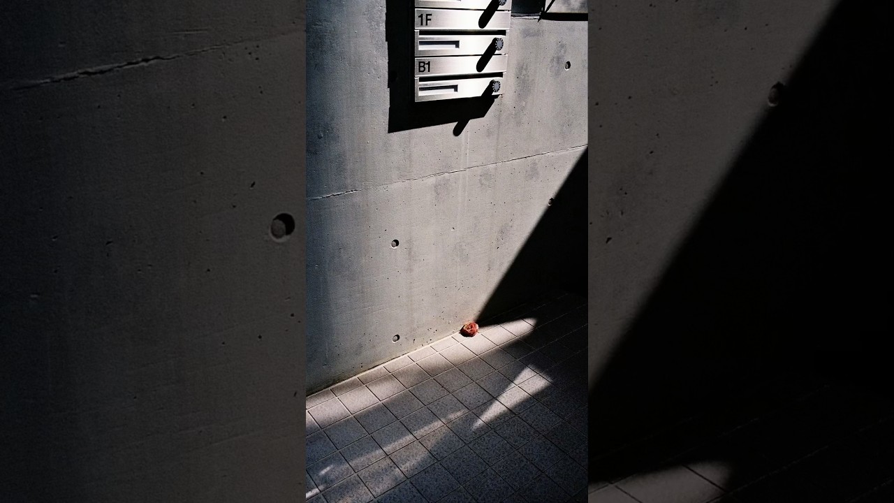 Street & Film Photography with Leica 📸