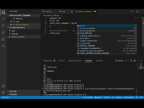 How to use Python Interactive Shell in Visual Studio code