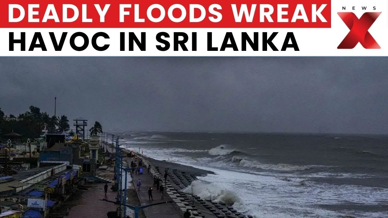 Cyclone Ditwah Video: Sri Lanka Grapples With Deadly Floods; Authorities Close Schools & Offices