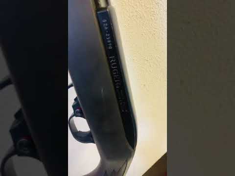 Ruger 10/22 upgrades transformation