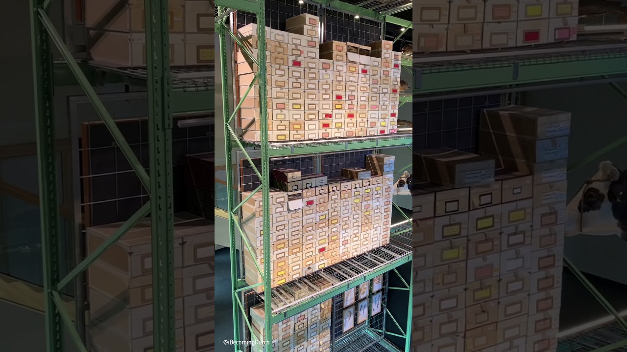 Explore Naturalis' New Free LiveScience Exhibit π¦