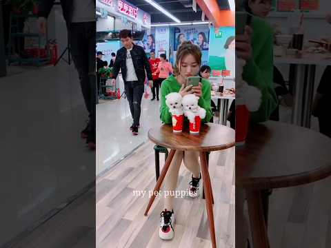 teacup dog breeds / teacup puppies 🐕 mini wood toy art / hand craft #shorts #dog #toys #cute #puppy