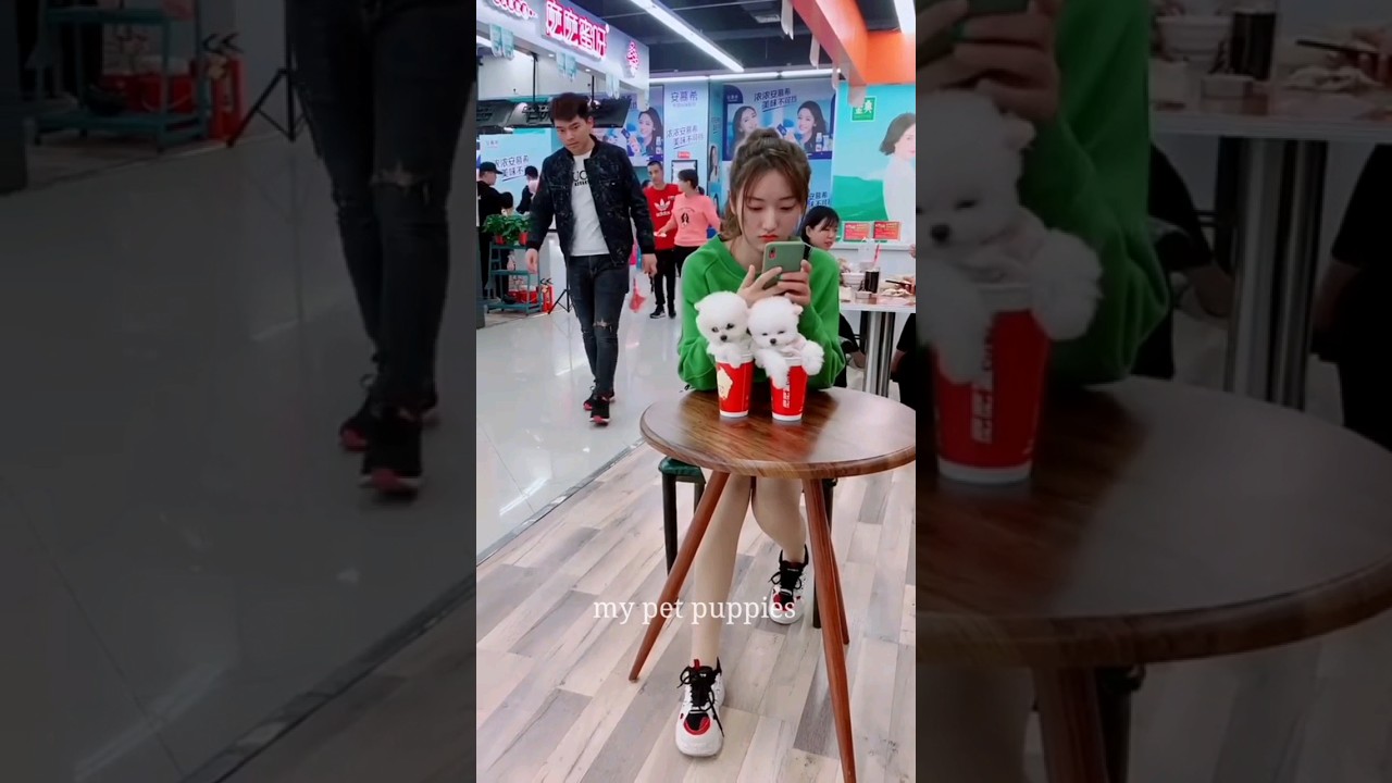 Adorable Teacup Dog Breeds & Miniature Puppy Toys 🐶 | Handcrafted Wood Art