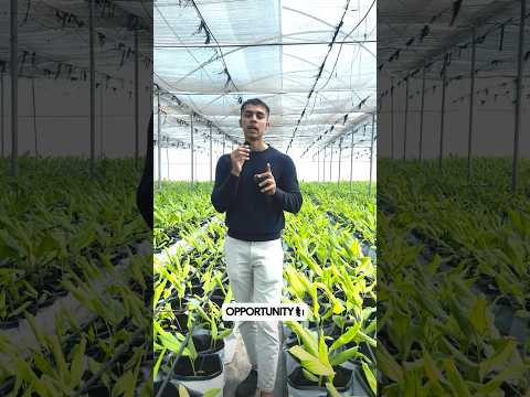 AgriTalk By Abhinav Roy