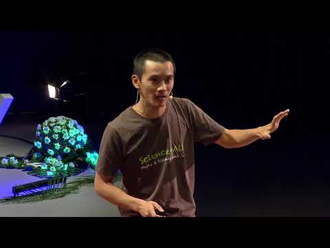 Les algorithmes du vivant - Lê Nguyên Hoang | TEDxSaclay