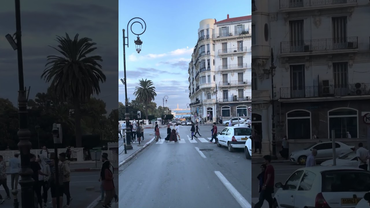 Explore Algeria by Car 🚗