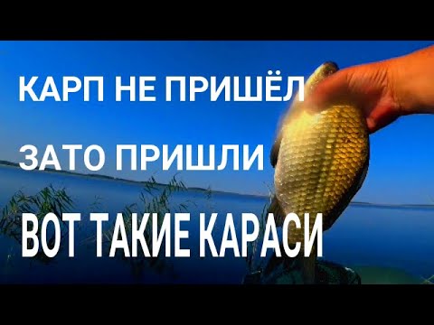 Килограммовые карасы на боковой кивок и поплавок 🎣