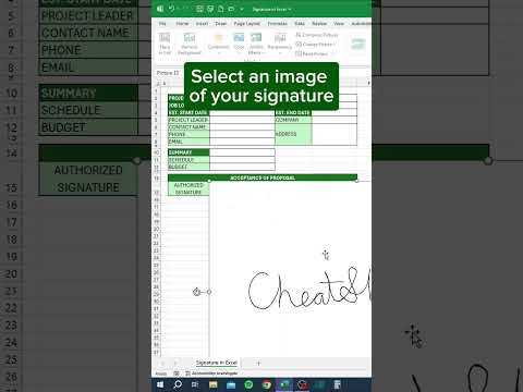 Signature in Excel‼️ #excel