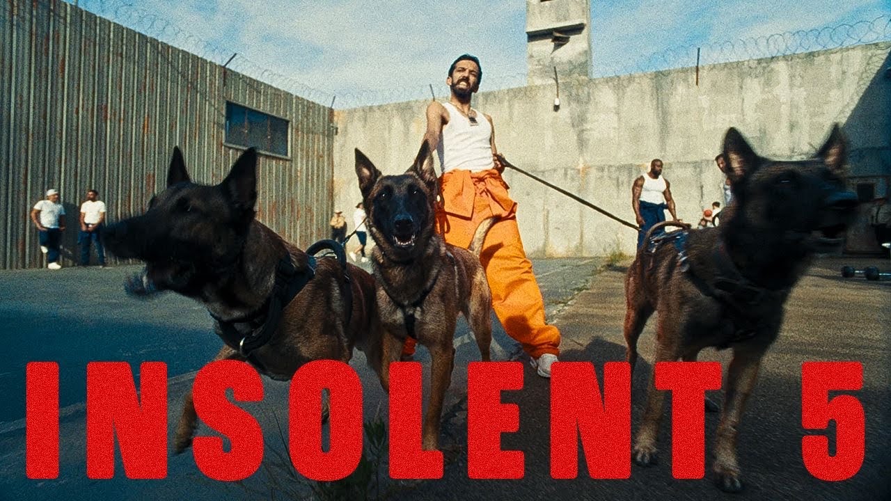 Bigflo & Oli Drop Energetic New Track 'INSOLENT' #5 🚀 | 2026 Tour & Projects Announced