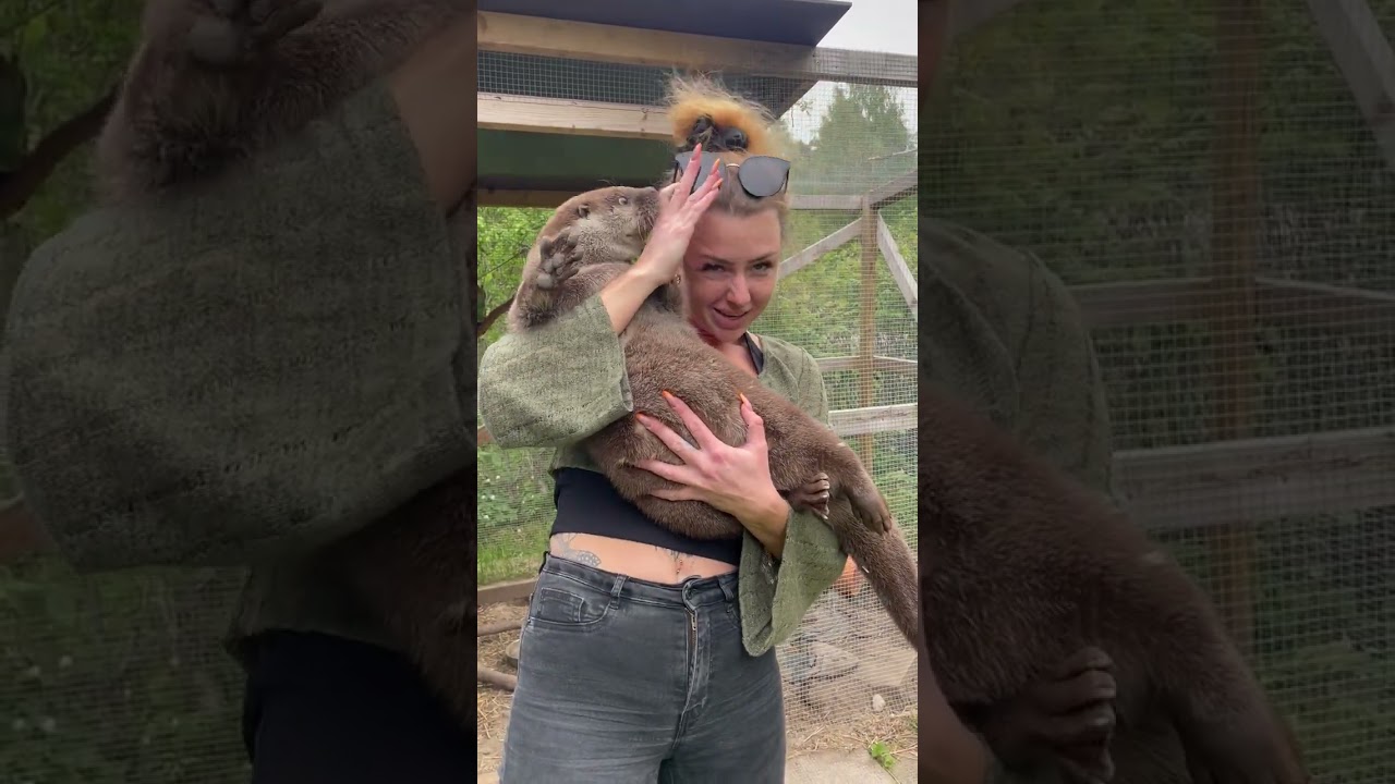 Girl Shows Off Adorable Pet Otter! 🦦