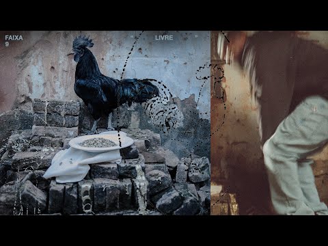 09. DJONGA • LIVRE