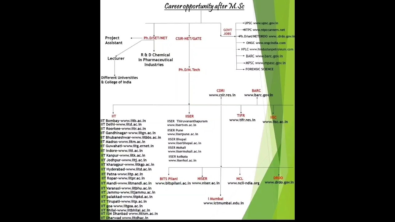 Career Paths After MSc Chemistry 🔬