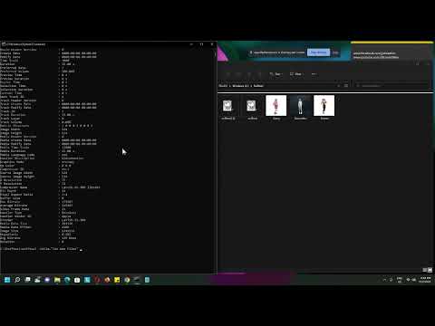 Use Exiftool On Mp4 Video Files ~ Add & Copy Tag On Multiple Files