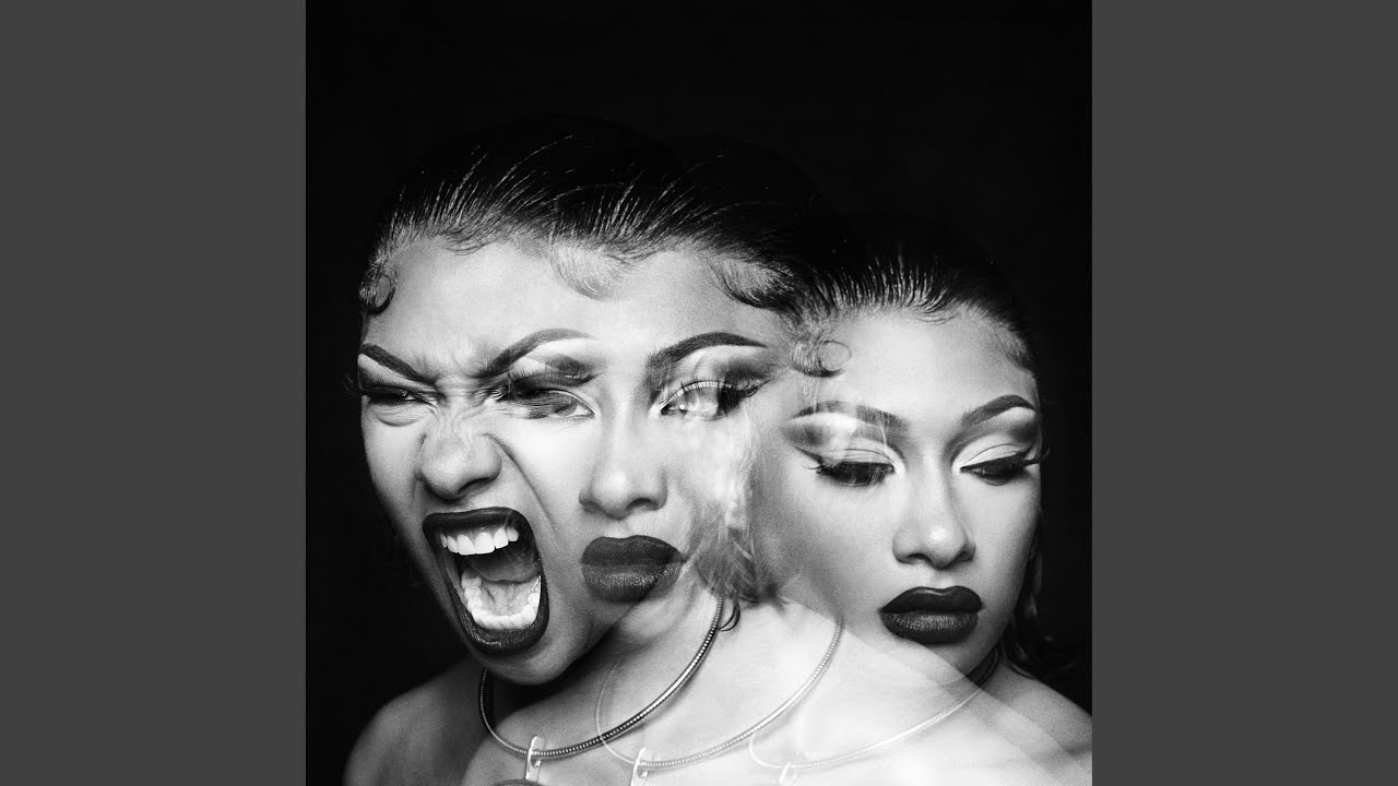 Megan Thee Stallion - Not Nice 🎶