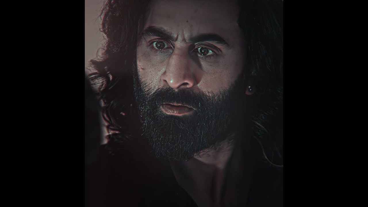 Animal (4K UHD) | Ranbir Kapoor | Death Is No More 🎬