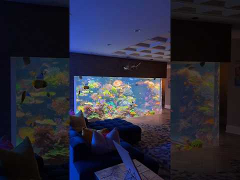 17,000 Gallon Saltwater Aquarium 🪸🐠