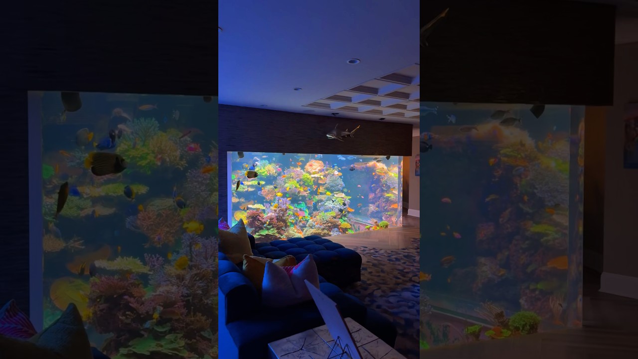Inside a Stunning 17,000-Gallon Saltwater Aquarium 🐠