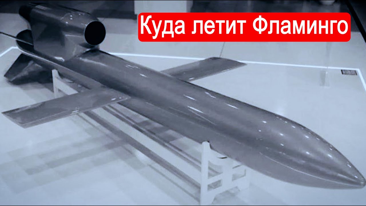 Куда летит Фламинго? Техникум Марка Солонина 🦩